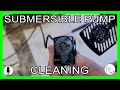 Submersible Pump Cleaning (12V Pet Fountain)
