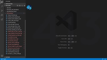 Golang Deep Dive P1 - L32 - Additional Usage of Functions