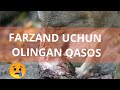 FARZAND UCHUN BO&#39;RIDAN OLINGAN QASOS/ФАРЗАНД УЧУН БУ́РИДАН ОЛИНГАН КАСОС