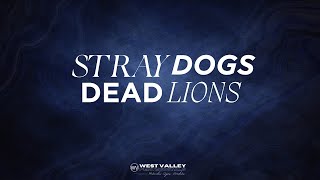 Stray Dogs - Dead Lions | Bro. Sam Lewis