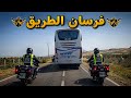 جولة قصيرة بالطريق الوطنية الرابط بين نزالة بني عمار وزكوطة 