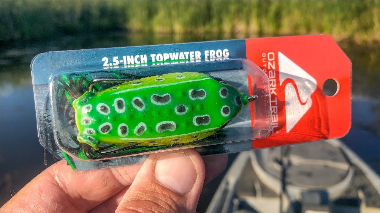 $2 Walmart Frog - Does It Catch Fish? 