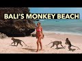 BEAUTIFUL MONKEY BEACH IN ULUWATU! Padang Padang Beach, Bali Vlog 8