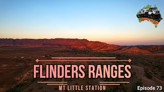 Flinders Ranges  Mount Little Station