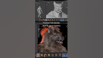 Wolf practice hair blender by oscar creativo #3d #blender #zbrush #3dart #hairgrowth