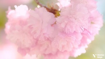 الحاقة ما الحاقة وما أدراك ما الحاقة الربع الثالث من الجزء التاسع والعشرون من سورة الحاقة الحصري🌿