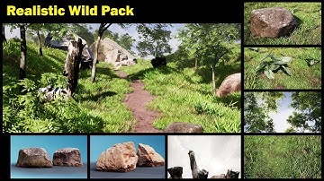 Realistic 3d Enviroment Unreal Engine ( dvizwildPack )