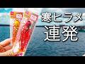 釣具屋の店員には悪いが、百均のルアーがその辺の漁港を「ヒラメの巣」に変えてしまった。