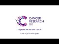 The male reproductive system | Cancer Research UK