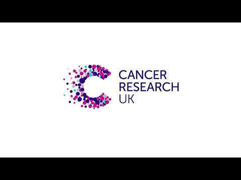 The Male Reproductive System Cancer Research UK