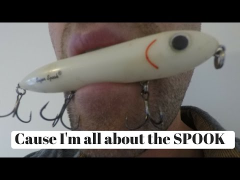 Fishing Walking Baits,