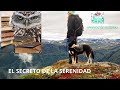 EL SECRETO DE LA SERENIDAD