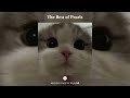 The best of pearls eng subs     muhammad al muqit