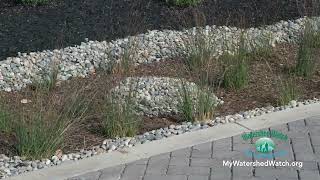 Intro to Bioretention Areas (Rain Gardens)