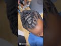 Men Fishtail Loc Style