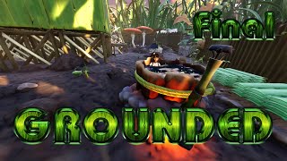 видео: Возвышение над травой и над страхом пауков | FINAL | прохождение  #12 Grounded картинка: Возвышение над травой и над страхом пауков | FINAL | прохождение  #12 Grounded