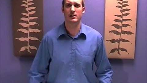 Part 2 Empowering Beliefs of NLP - www.thelearningpath.co.uk