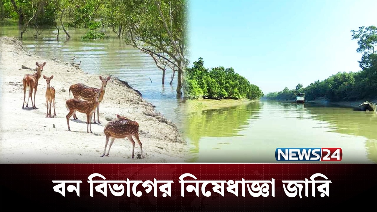 সুন্দরবন সুরক্ষায় নিষেধাজ্ঞা জারি করলো বন বিভাগ | Sundarban | NEWS24