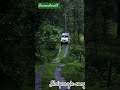 ❣️🎶 kannamma kadhal enum song #ilaiyaraja#janaki#tamilsong💕🎵🎧#naturelovers#travel🚛🚙#road#lovesong