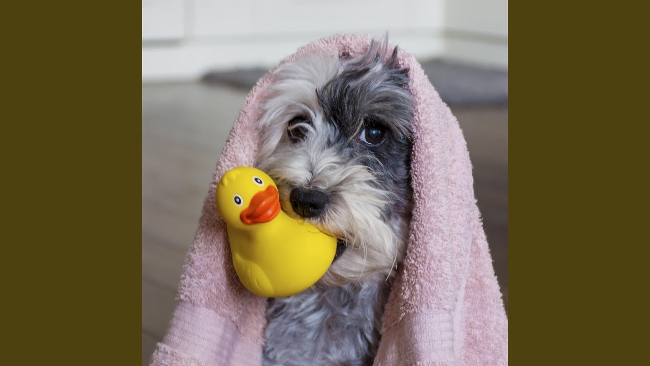 Composed View amid Rings of Saturn - YouTube