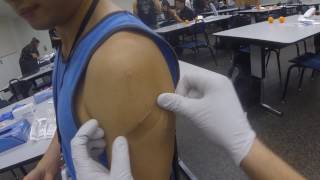 Pov Intramuscular Im Injection 2-Hand, Stabilize