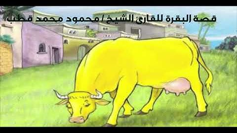 حوار سيدنا موسى عليه السلام مع قومه#قصة بقرة بني إسرائيل للقارئ #محمودمحمدقطب