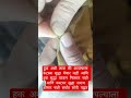 हुक अशी लावा की आपल्याला कंटाळा सुद्धा येणार नाही आणि हुक सुद्धा पटकन निघणार नाही आणि कस्टमर सुद्धा