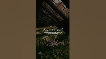 من سورة العنكبوت 🌻 | القارئ حمزة سعيد | #quran #القرآن_الكريم #القرآن