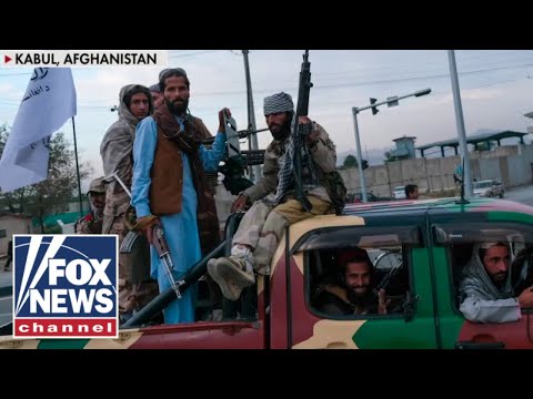 'The Five' react to 'startling' new reports about the Taliban