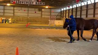 Elizabeth Velasco & JD  International horse agility club