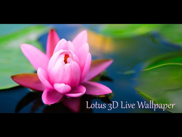 Live Wallpaper 3d Lotus Image Num 7