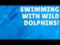 SWIMMING WITH DOLPHINS + CASELA WORLD OF ADVENTURES
