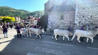 Défilé lors de la foire du 8 Mai à Tarascon sur Ariège