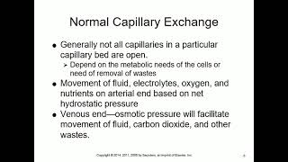 Pathophysiology Lectures By Dr. Saudi Chapter 5 Inflammatory response