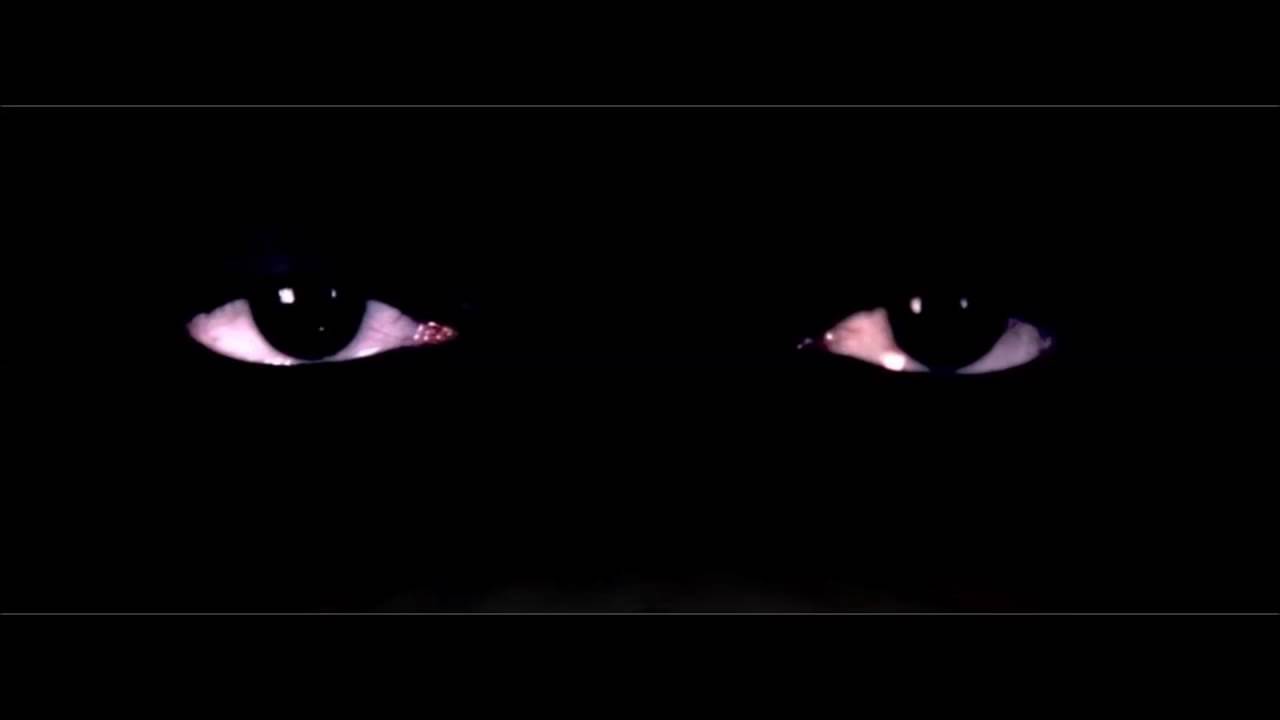 Blanc23i-illi Sal-vol6