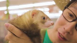 アミーゴ歳末大感謝祭2022年12月