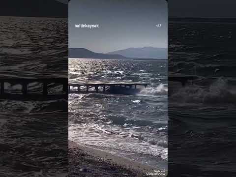 كفاية مرة قلبك خدعنى شيرين