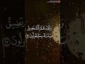 فسبح بحمد ربك آيات القرآن الكريم مصطفى اسماعيل