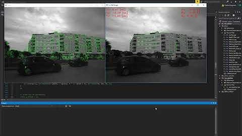 Visual Odometry on images taken from a car camera