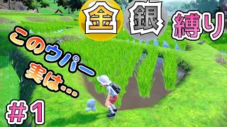 【ポケモンSV DLC】金銀縛りの旅＃1 〜今さらながら完全初見で楽しむゼロの秘宝！〜【碧の仮面】【女性実況】