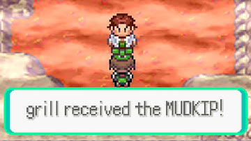 Pokemon, but the ENTIRE MAP is RANDOM