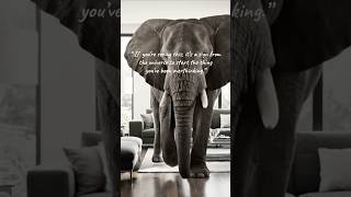 “The Elephant In The Room” #lumafusion #cinematic #videoedit @L@LumaTouch