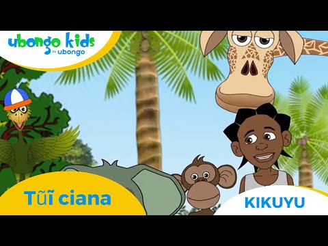 Kikuyu | Tũĩ ciana | Ubongo Kids