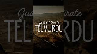 Tel Vurdu Beni (Anatolia Mixes) | Guitarist Pirate  #remix #reels #music #halaymashup