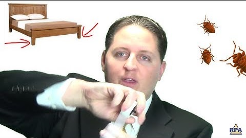 Tips to Get Rid of Bed Bugs Tonight