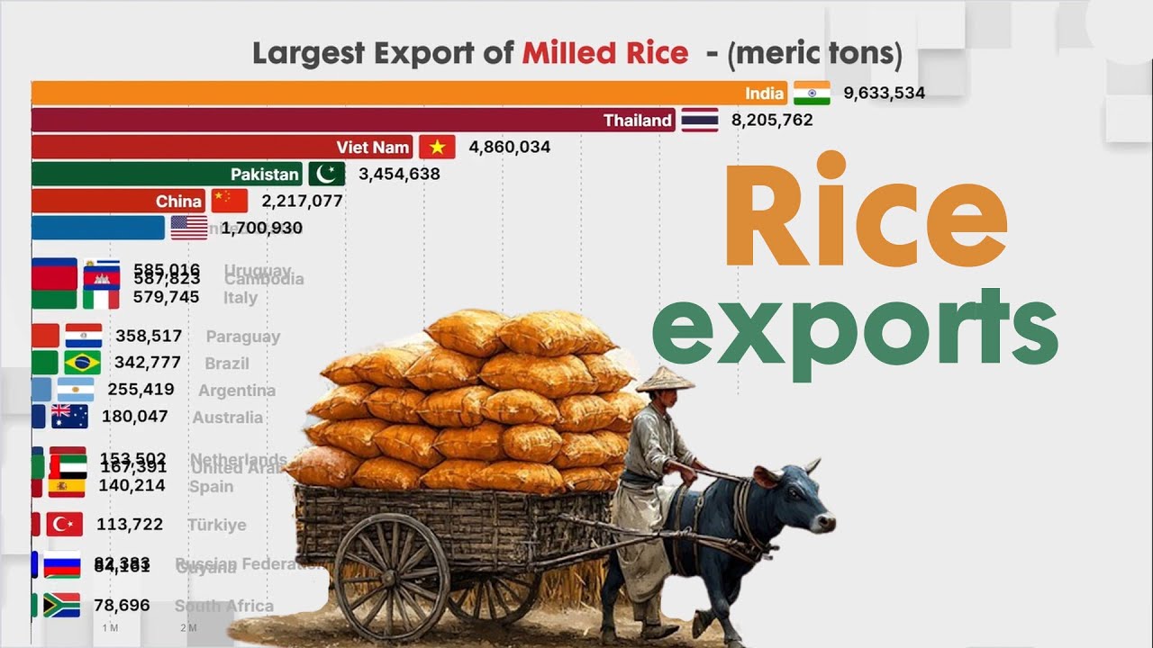 Largest Exporters of RICE (milled rice)  in the world