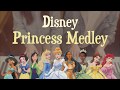 Disney Princess Medley - 4hands piano cover