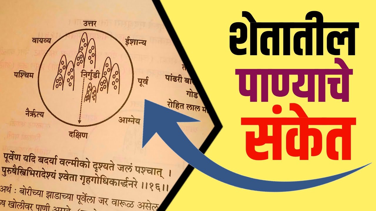 निर्गुडी आणि शेतातील पाणी | शेतातील पाण्याचे संकेत वराहमिहीर | Royal Shetakri