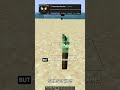 A Minecraft Resource Pack That Adds A Cool Flame Animation To Torches!