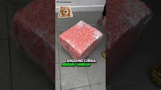 Kirain Ketipu, Ternyata Bantal Ini Punya “Rahasia”! 🤯 #shorts